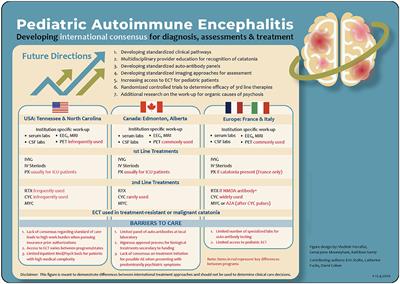 Developing Consensus in the Assessment and Treatment Pathways for Autoimmune Encephalitis in Child and Adolescent Psychiatry